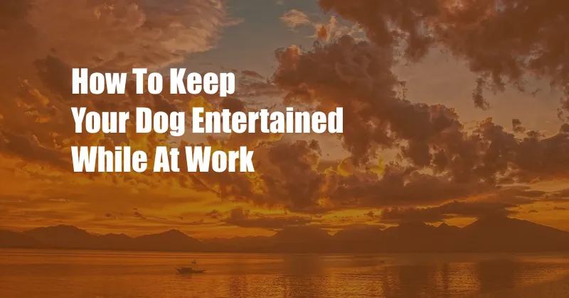 How To Keep Your Dog Entertained While At Work