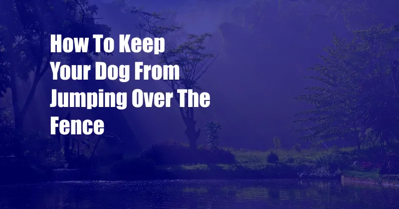 How To Keep Your Dog From Jumping Over The Fence