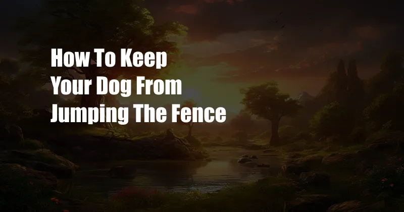 How To Keep Your Dog From Jumping The Fence