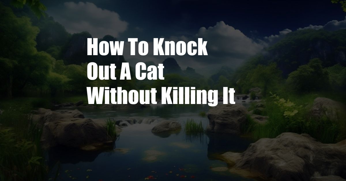 How To Knock Out A Cat Without Killing It