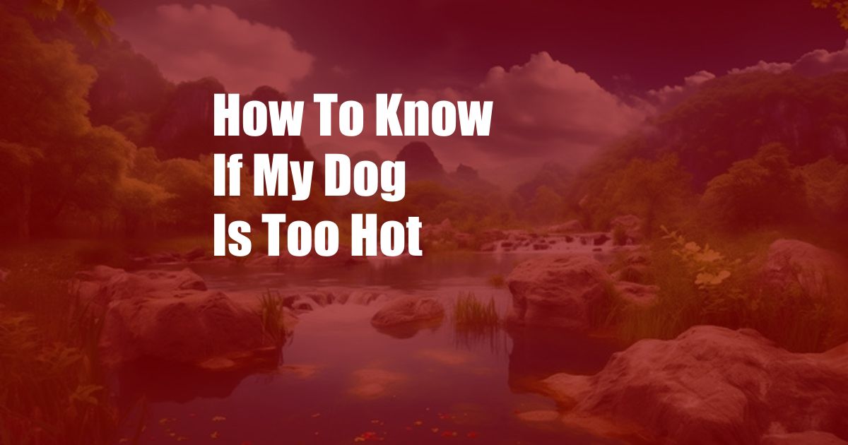 How To Know If My Dog Is Too Hot
