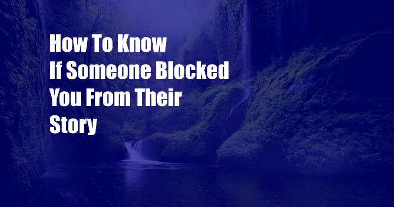 How To Know If Someone Blocked You From Their Story