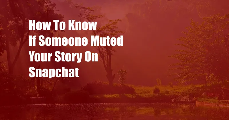 How To Know If Someone Muted Your Story On Snapchat