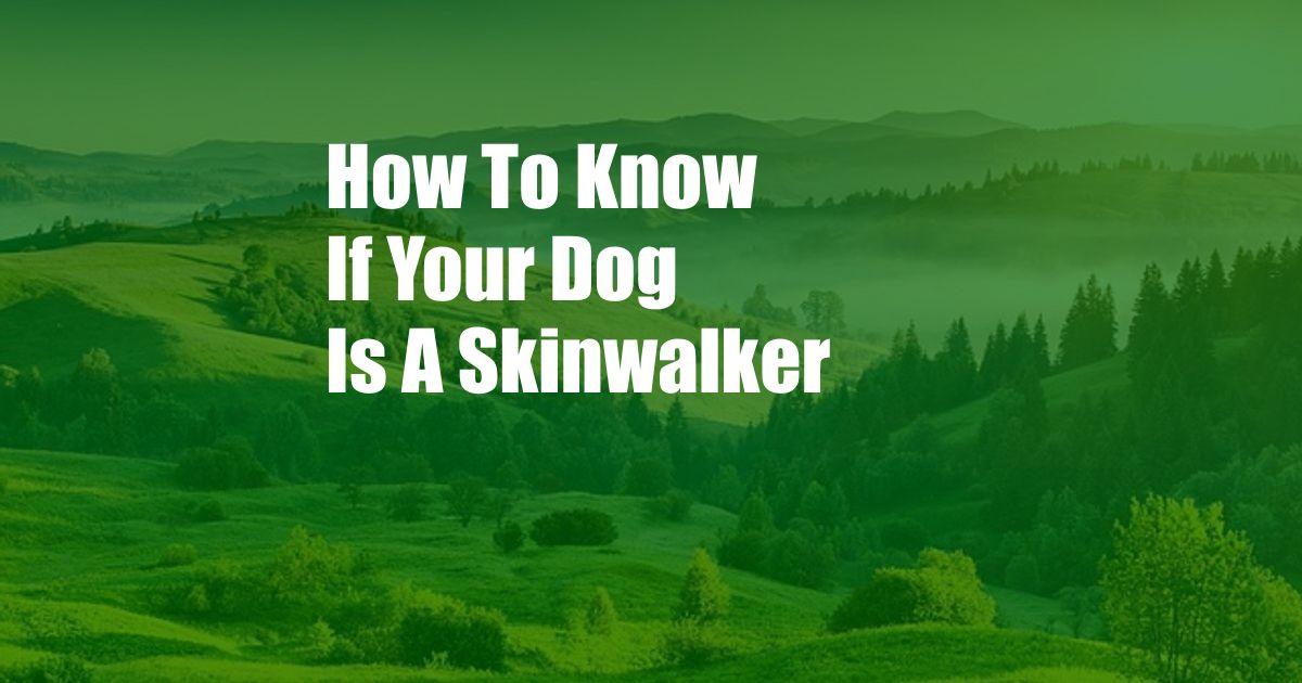 How To Know If Your Dog Is A Skinwalker