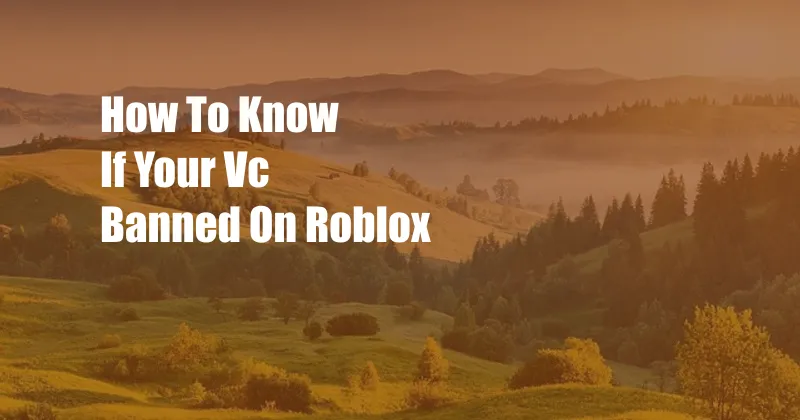 How To Know If Your Vc Banned On Roblox