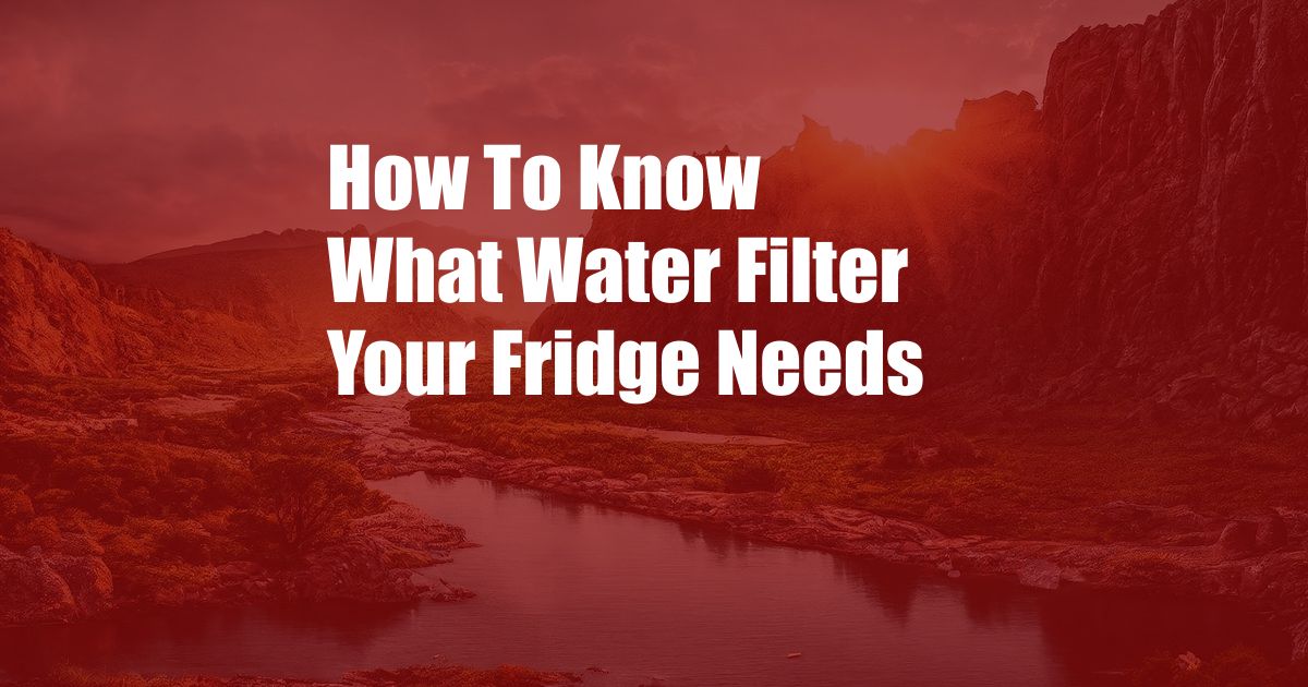 How To Know What Water Filter Your Fridge Needs