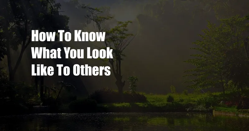 How To Know What You Look Like To Others