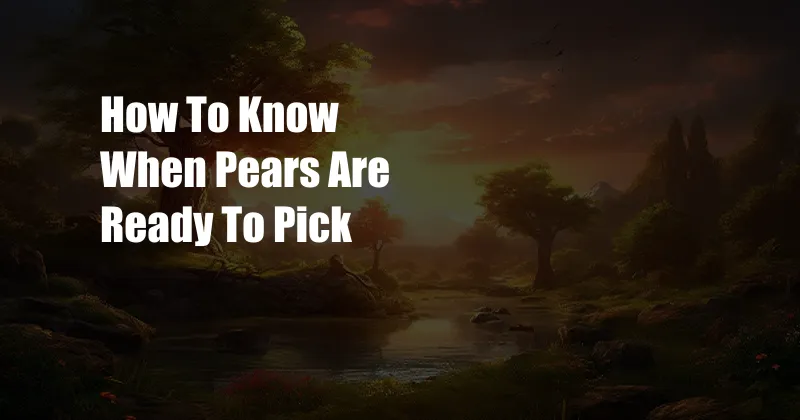 How To Know When Pears Are Ready To Pick
