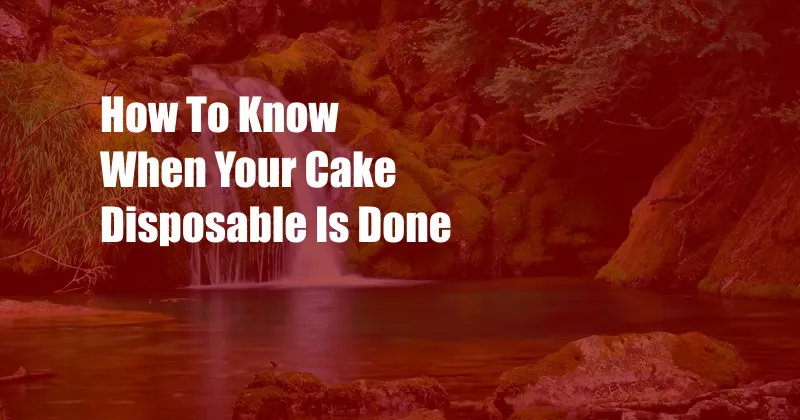 How To Know When Your Cake Disposable Is Done