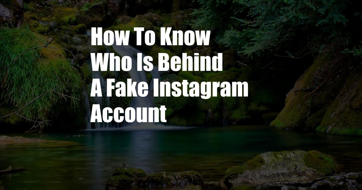 How To Know Who Is Behind A Fake Instagram Account