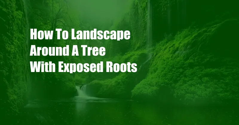 How To Landscape Around A Tree With Exposed Roots