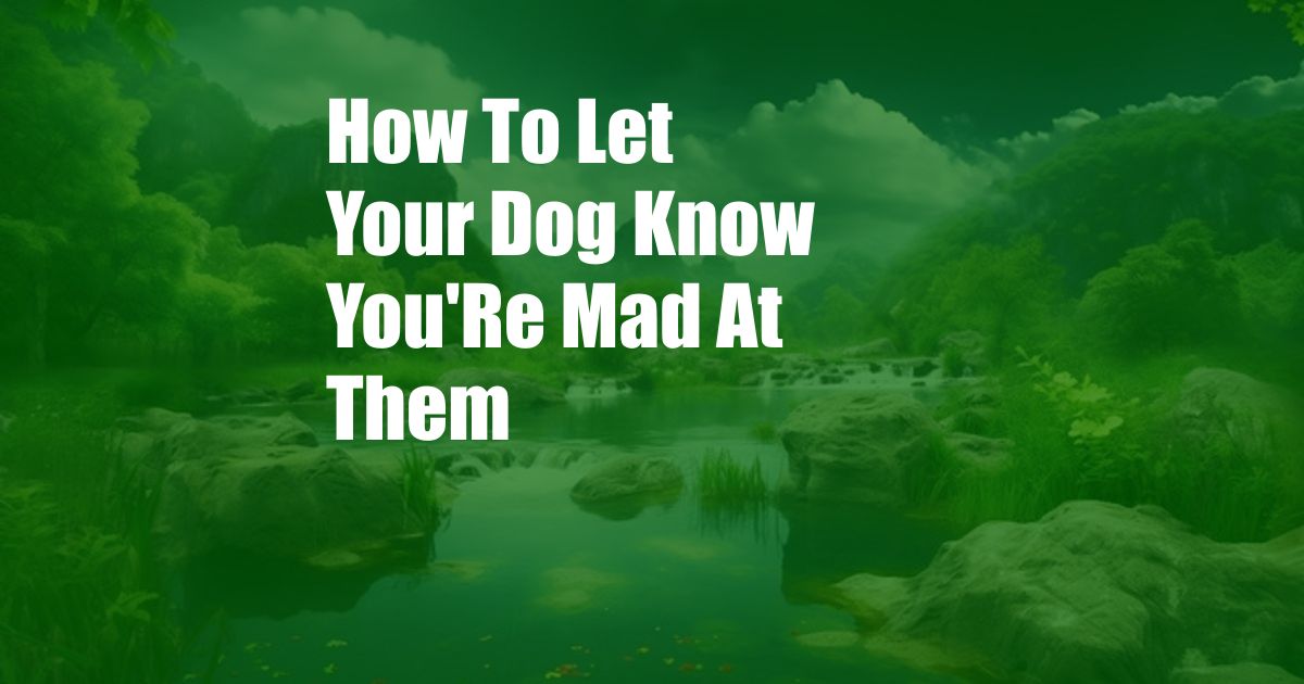 How To Let Your Dog Know You'Re Mad At Them