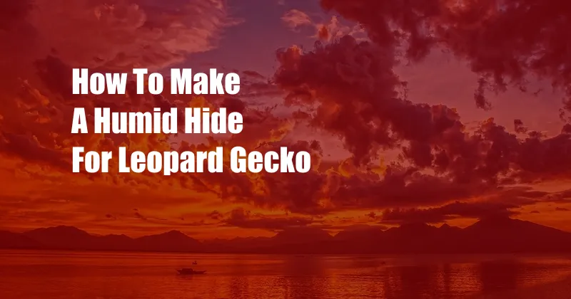 How To Make A Humid Hide For Leopard Gecko