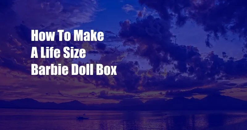 How To Make A Life Size Barbie Doll Box