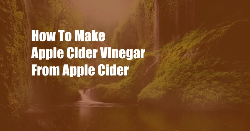 How To Make Apple Cider Vinegar From Apple Cider