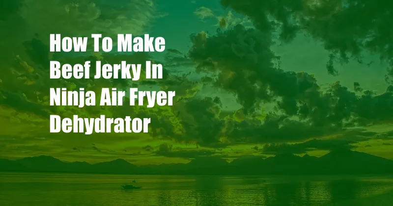 How To Make Beef Jerky In Ninja Air Fryer Dehydrator