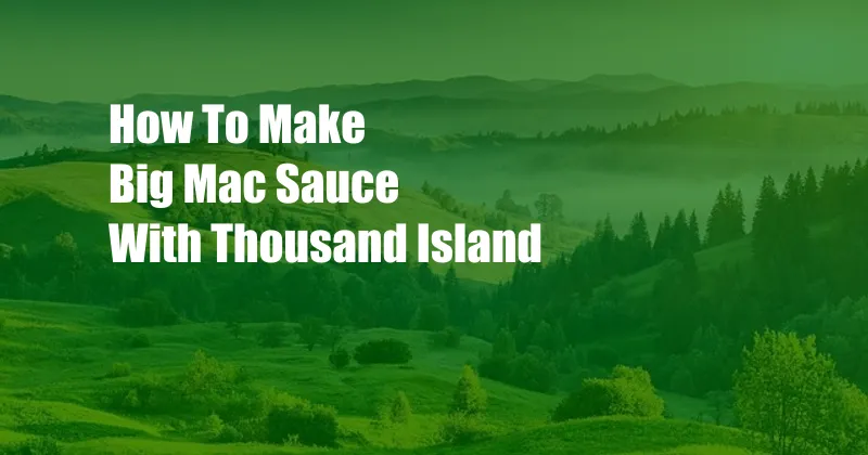 How To Make Big Mac Sauce With Thousand Island