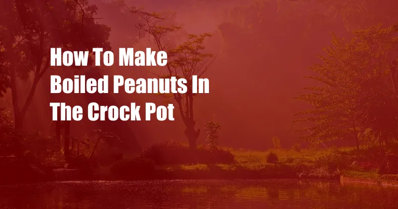 How To Make Boiled Peanuts In The Crock Pot