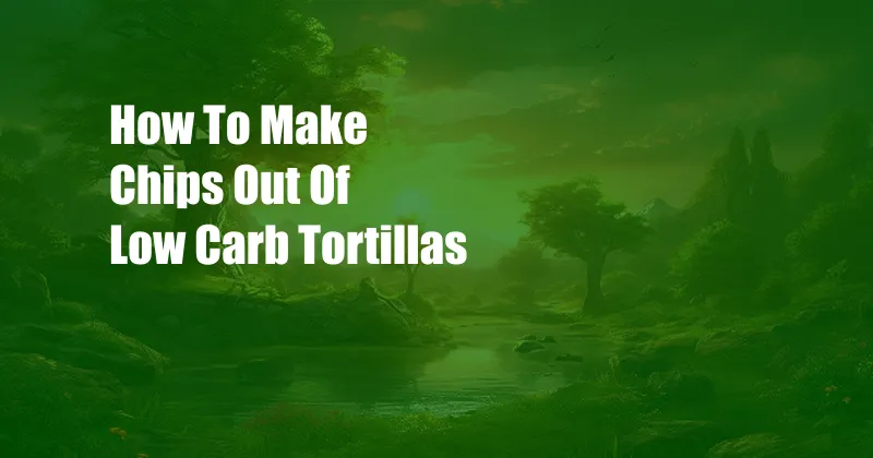 How To Make Chips Out Of Low Carb Tortillas