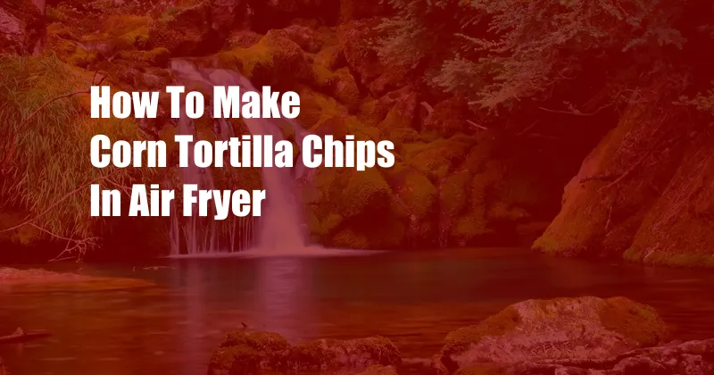 How To Make Corn Tortilla Chips In Air Fryer