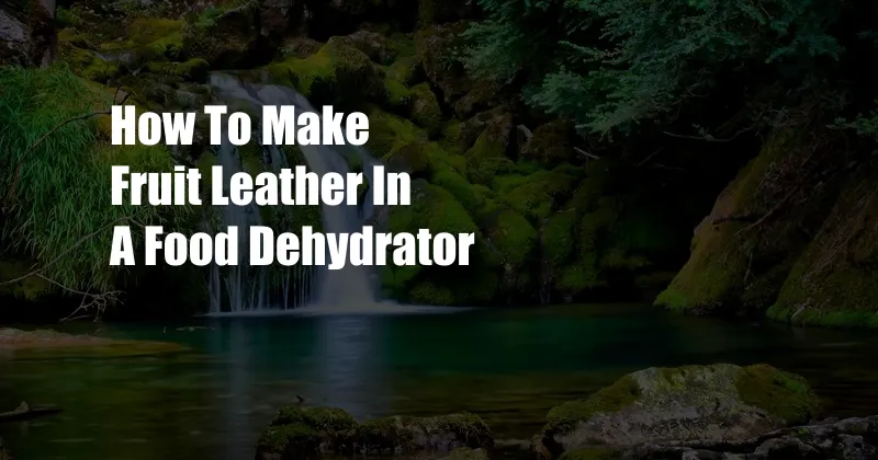 How To Make Fruit Leather In A Food Dehydrator