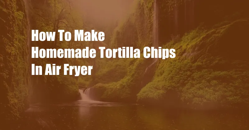 How To Make Homemade Tortilla Chips In Air Fryer