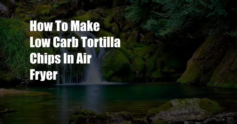 How To Make Low Carb Tortilla Chips In Air Fryer
