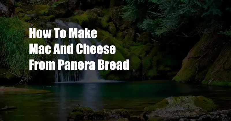 How To Make Mac And Cheese From Panera Bread