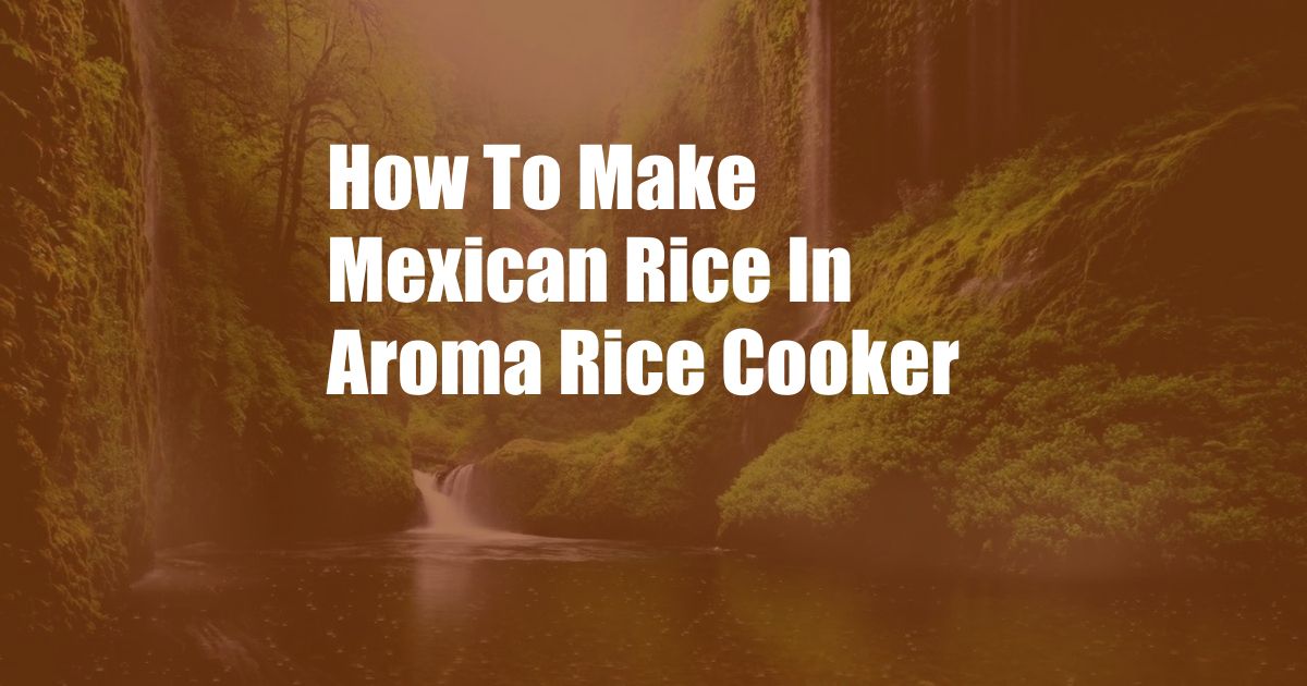 How To Make Mexican Rice In Aroma Rice Cooker