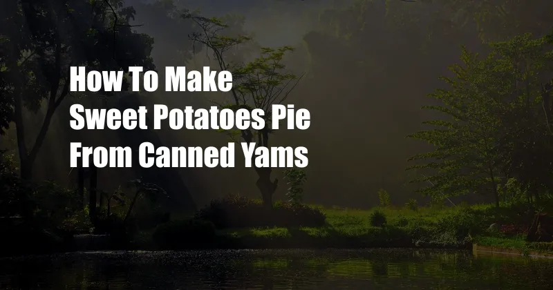 How To Make Sweet Potatoes Pie From Canned Yams