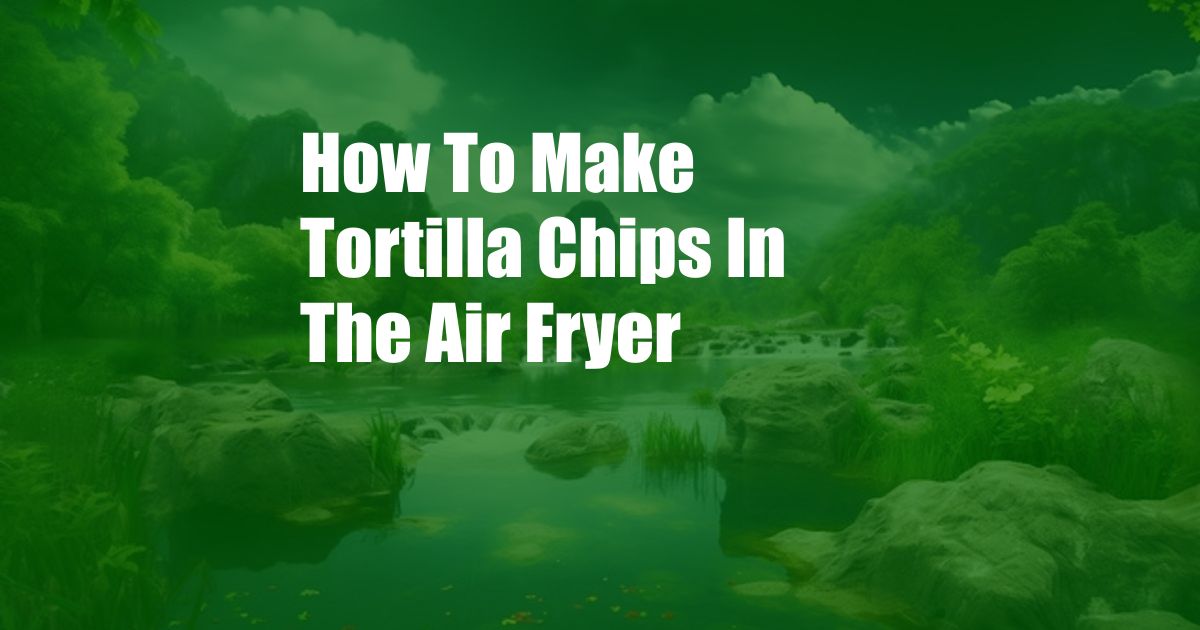 How To Make Tortilla Chips In The Air Fryer