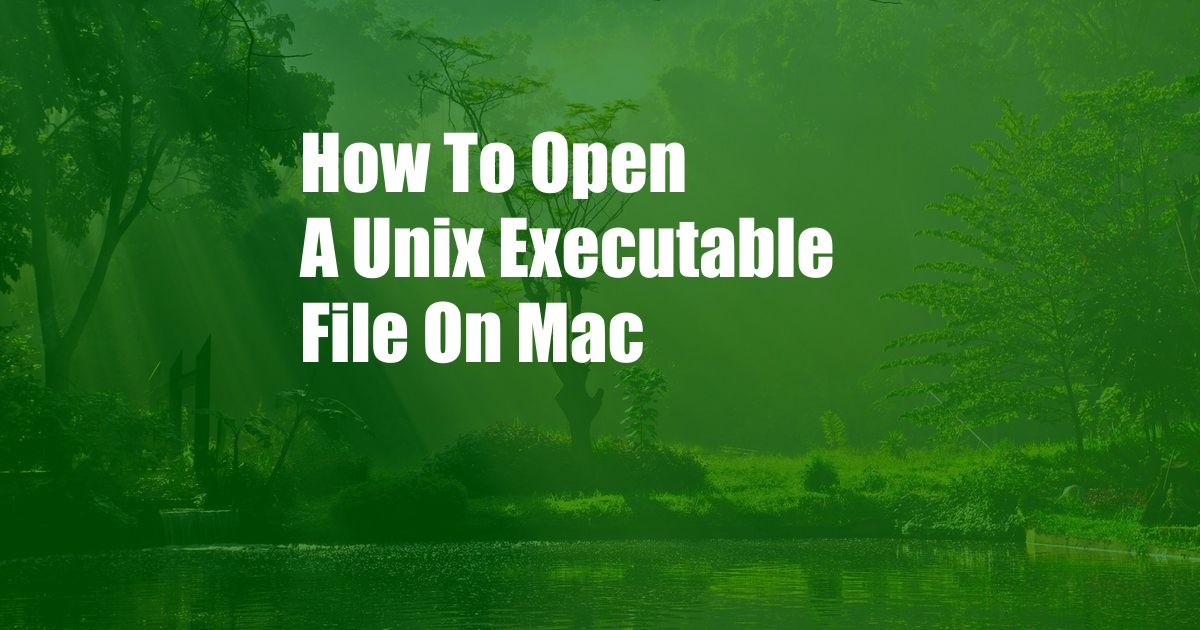 How To Open A Unix Executable File On Mac