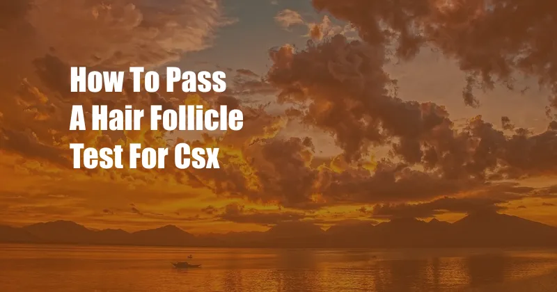 How To Pass A Hair Follicle Test For Csx