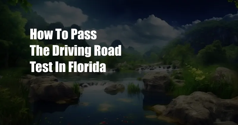 How To Pass The Driving Road Test In Florida