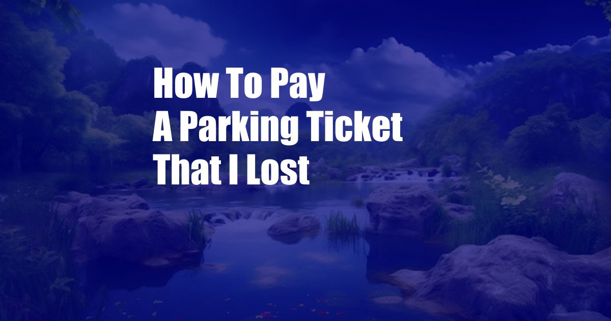 How To Pay A Parking Ticket That I Lost