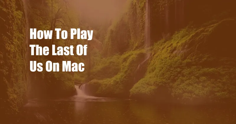 How To Play The Last Of Us On Mac