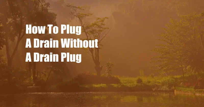 How To Plug A Drain Without A Drain Plug