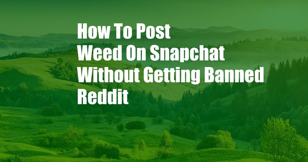 How To Post Weed On Snapchat Without Getting Banned Reddit