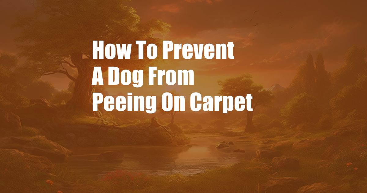 How To Prevent A Dog From Peeing On Carpet