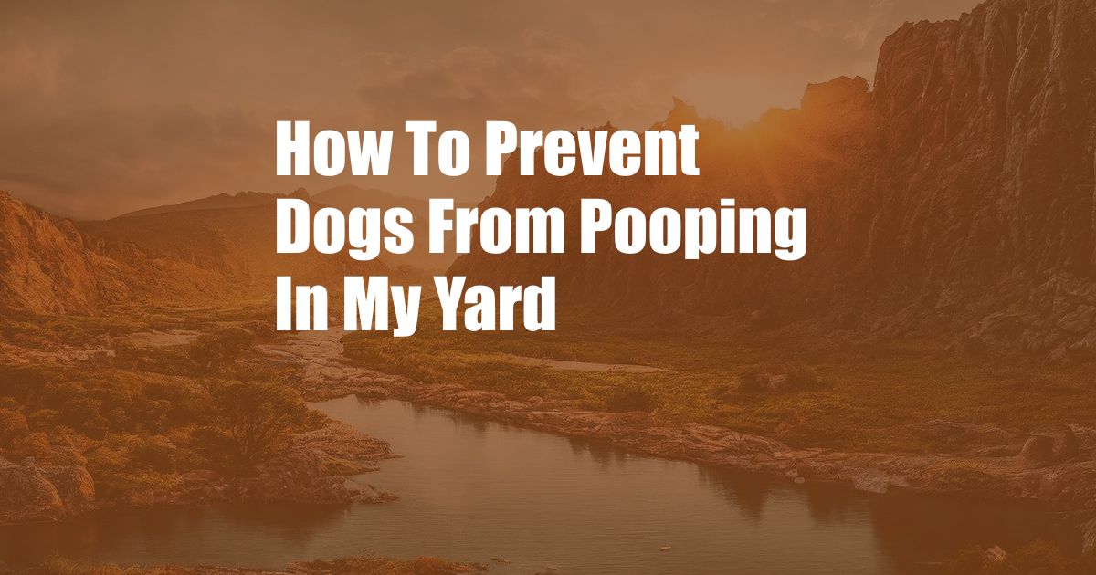 How To Prevent Dogs From Pooping In My Yard