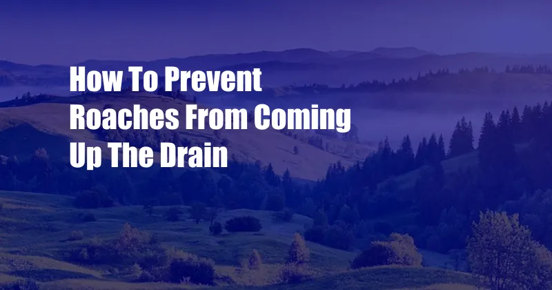 How To Prevent Roaches From Coming Up The Drain