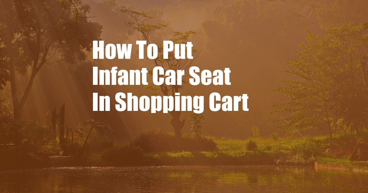 How To Put Infant Car Seat In Shopping Cart