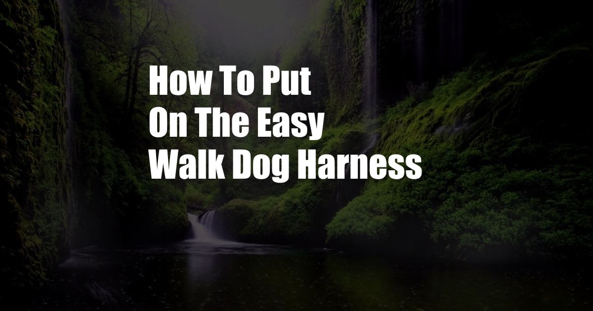 How To Put On The Easy Walk Dog Harness