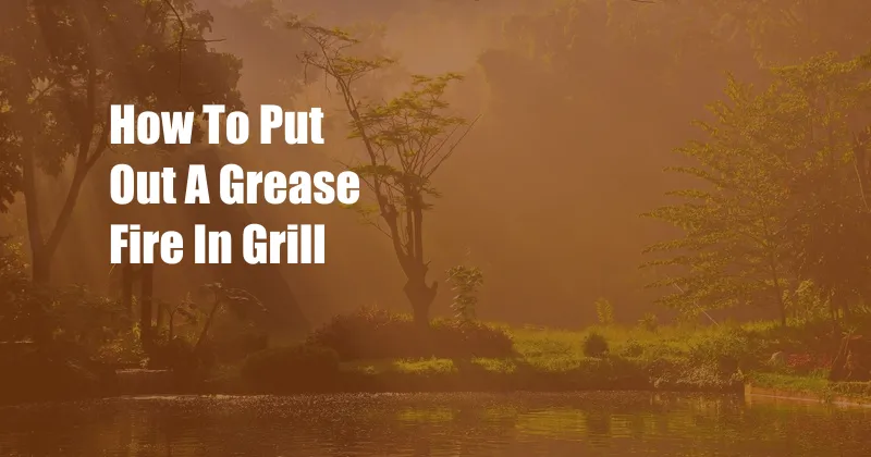 How To Put Out A Grease Fire In Grill