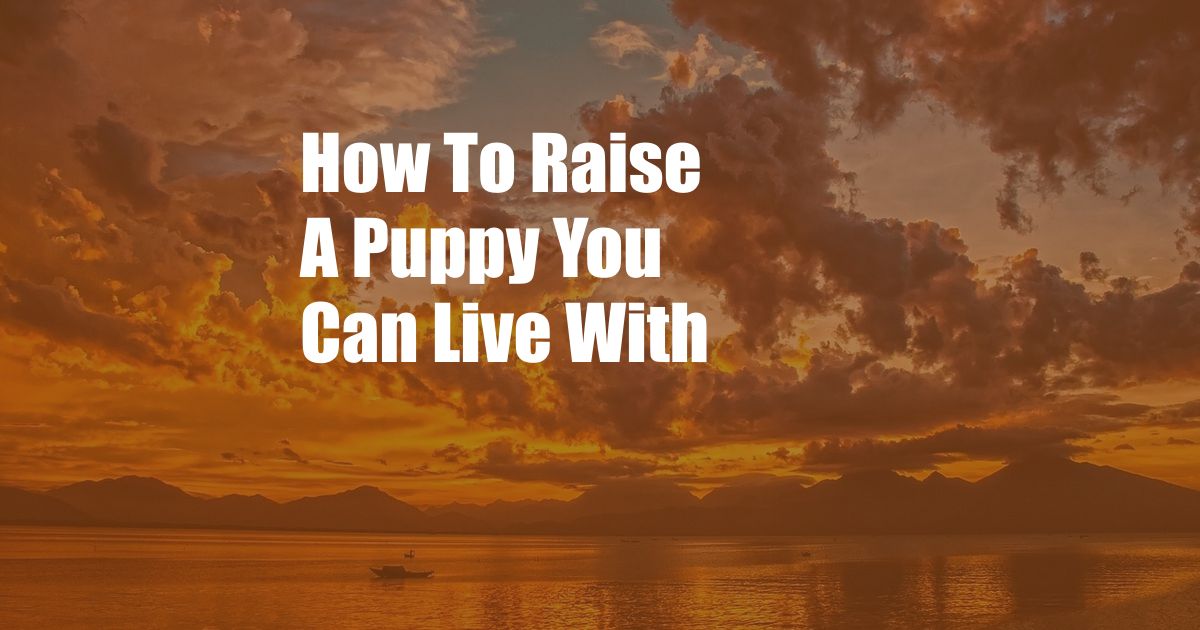 How To Raise A Puppy You Can Live With