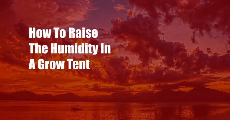 How To Raise The Humidity In A Grow Tent