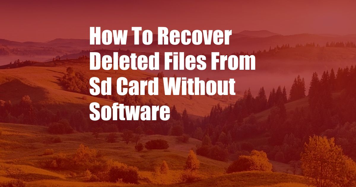 How To Recover Deleted Files From Sd Card Without Software