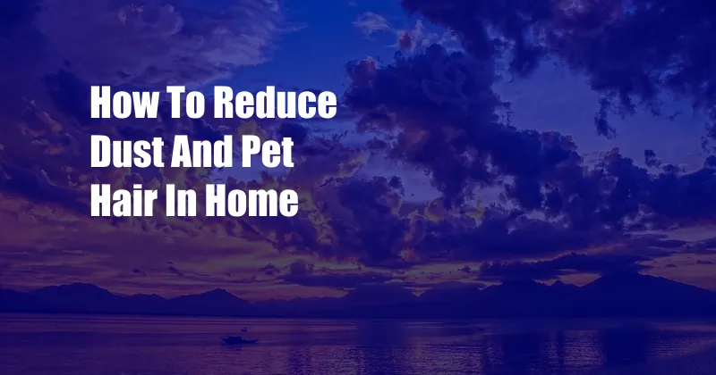 How To Reduce Dust And Pet Hair In Home