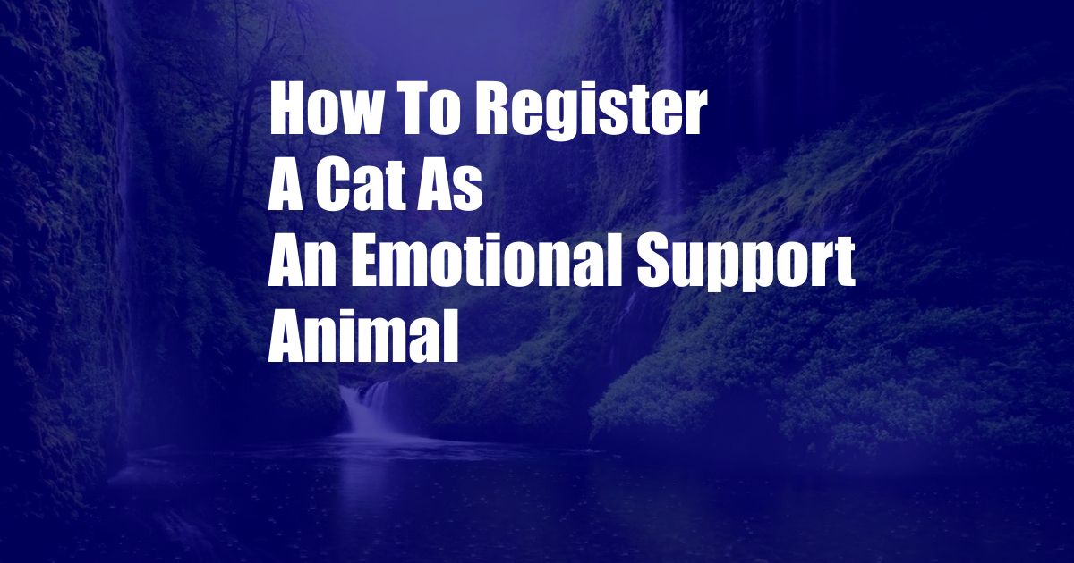 How To Register A Cat As An Emotional Support Animal