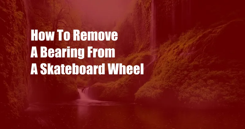 How To Remove A Bearing From A Skateboard Wheel